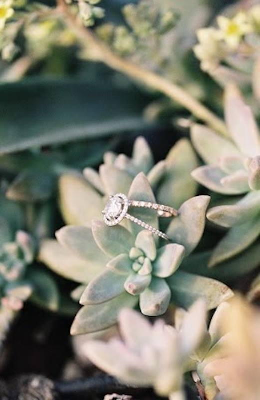 10370435_771037689602070_6360808499772826488_n