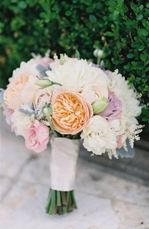 10687010_771037622935410_7058073708837025796_n