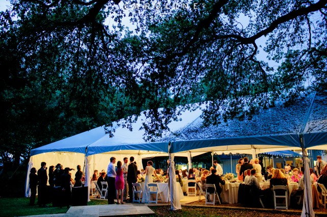 Tenting at Mercury Hall