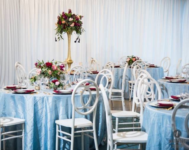 12715408_1240356082660577_2421902219707715670_n