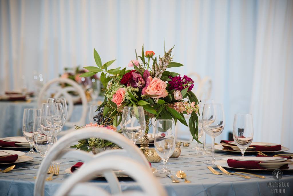 12716316_1240356162660569_7293455880113061305_o