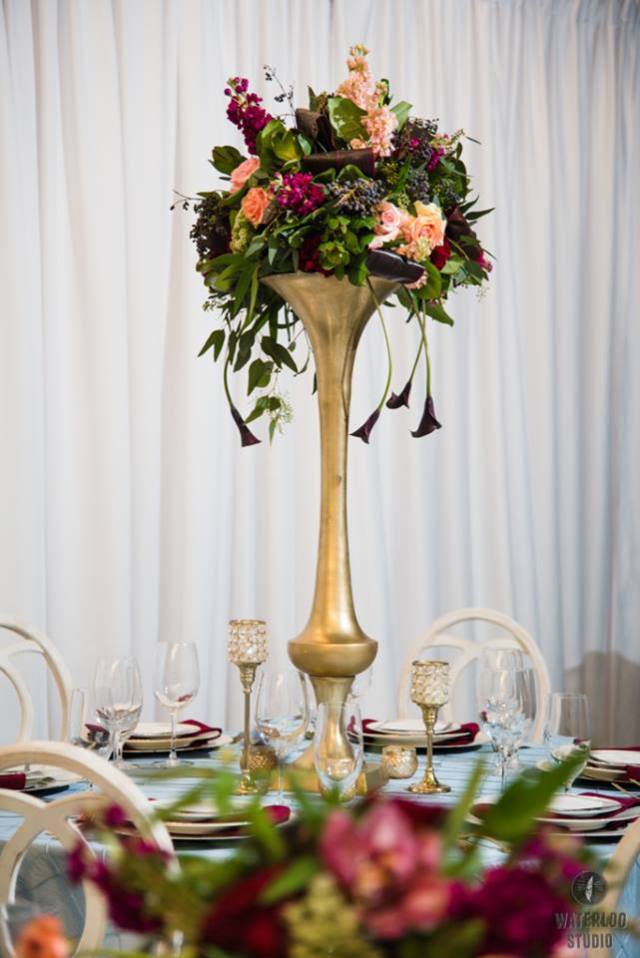 12743798_1240356035993915_2195614704486307508_n