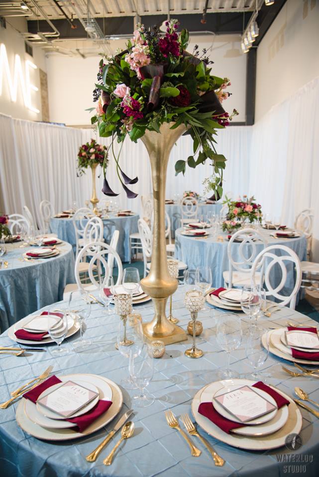 12743999_1240356239327228_7447019615640542393_n