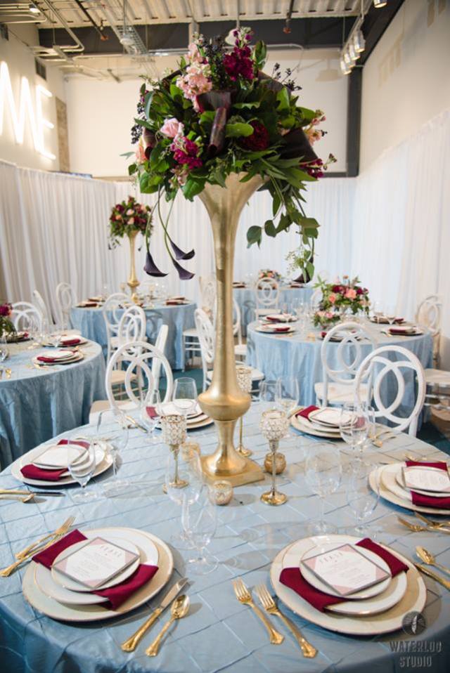 12743999_1240356239327228_7447019615640542393_n