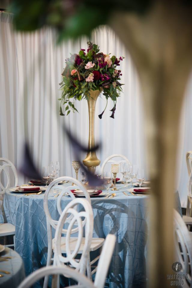 12745839_1240356285993890_5517574871294805080_n