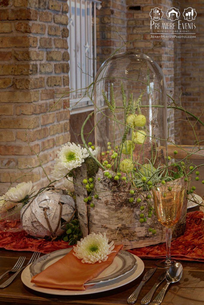 Austin Pets Alive Photo SHoot