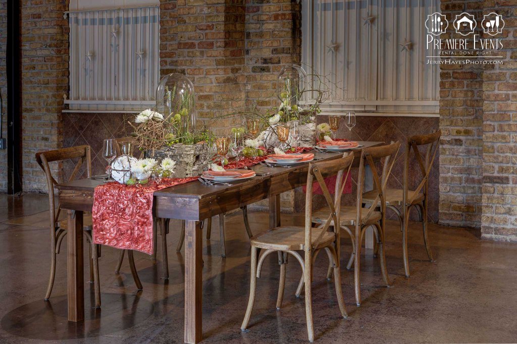 Austin Pets Alive Photo Shoot