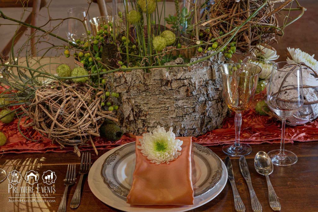 Austin Pets Alive Photo Shoot