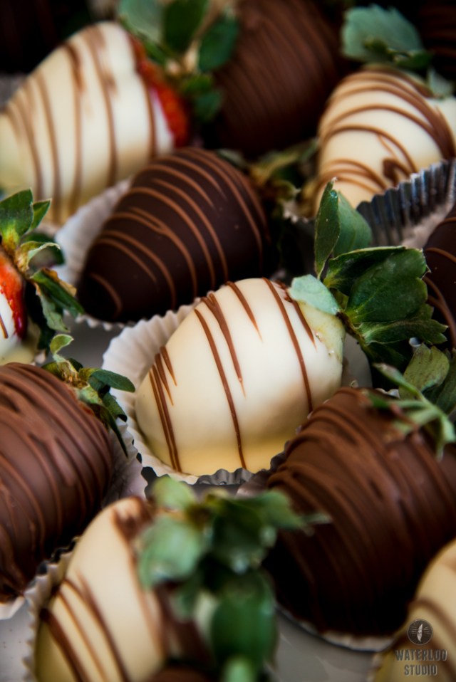 Premiere Events Dripping Springs