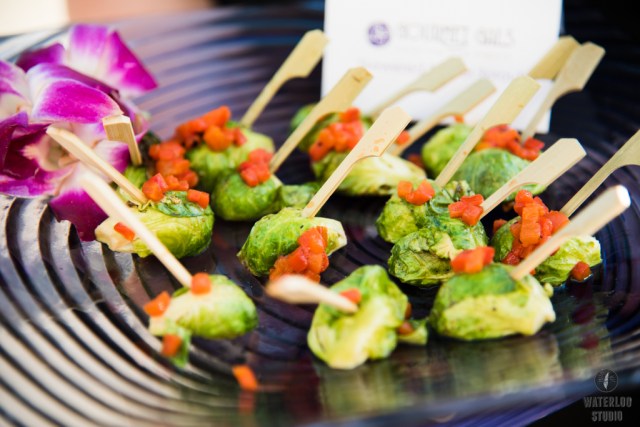 Premiere Events Dripping Springs