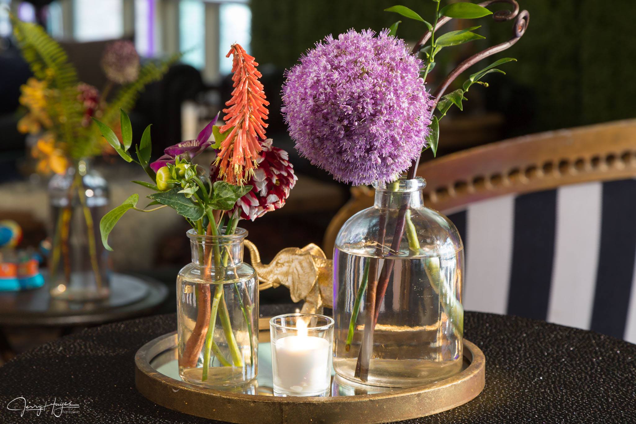 19264598_1436845739715232_3687535947285694166_o