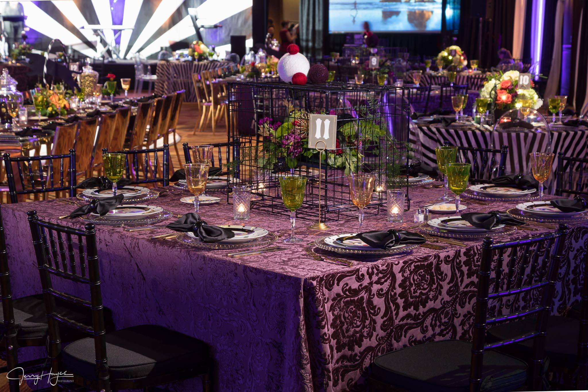 19388449_1436845809715225_7325875666799405461_o (1)