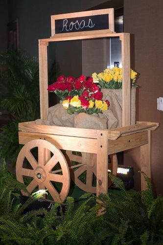 WOODEN-CART