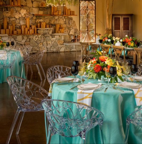 WildOnion2.22.17-27-e1497459819633