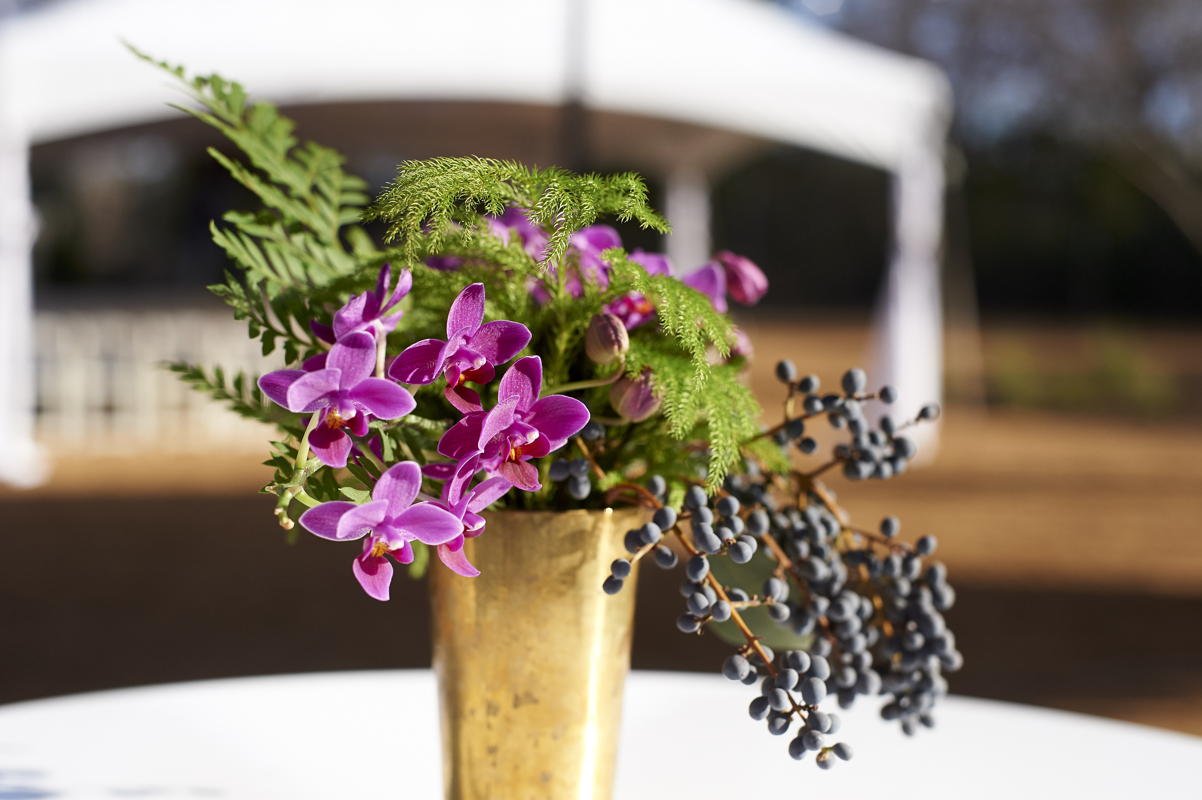 Springdale Station - Grand Opening - 074