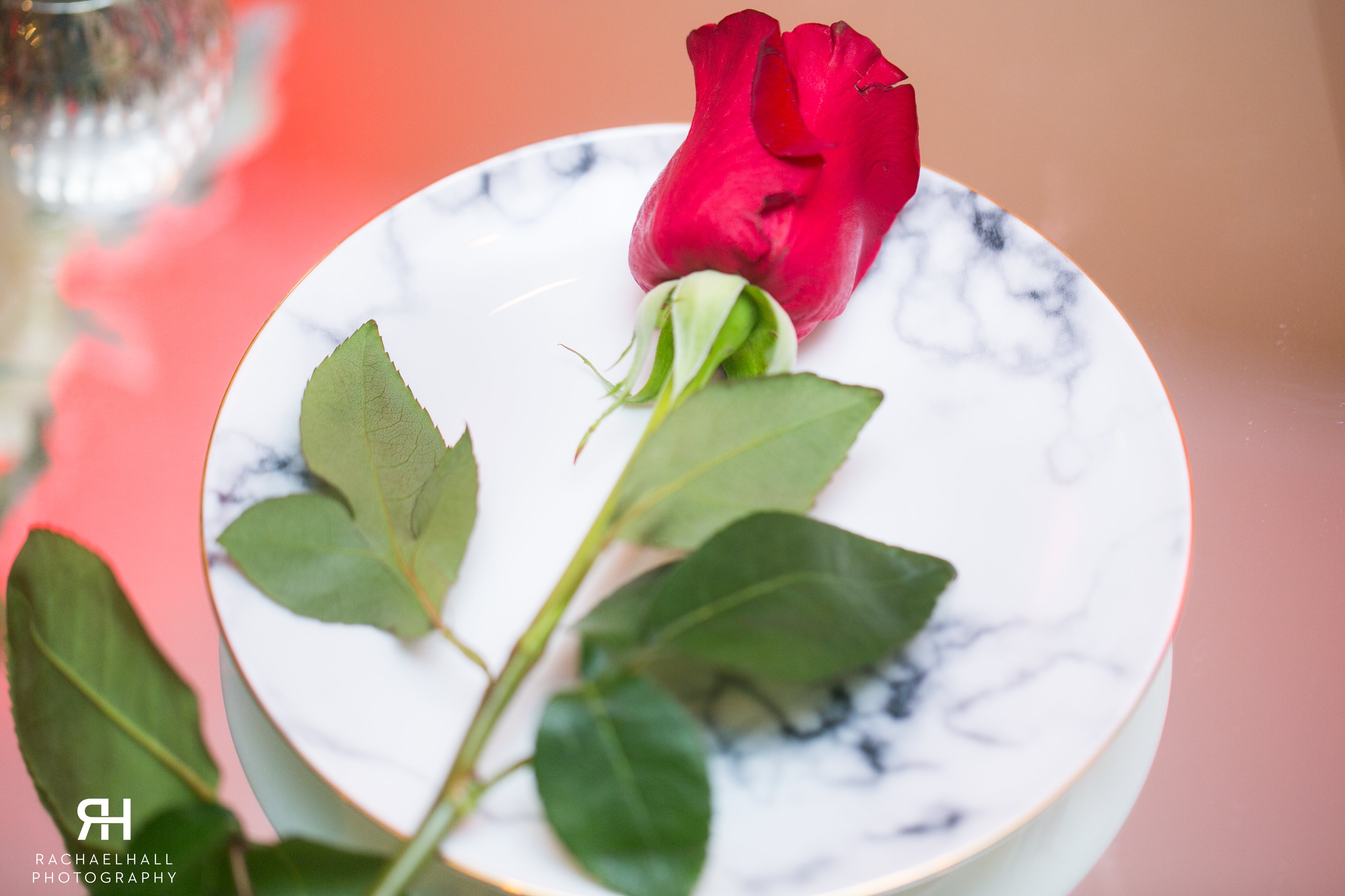 Lady in Red-2255 (1)