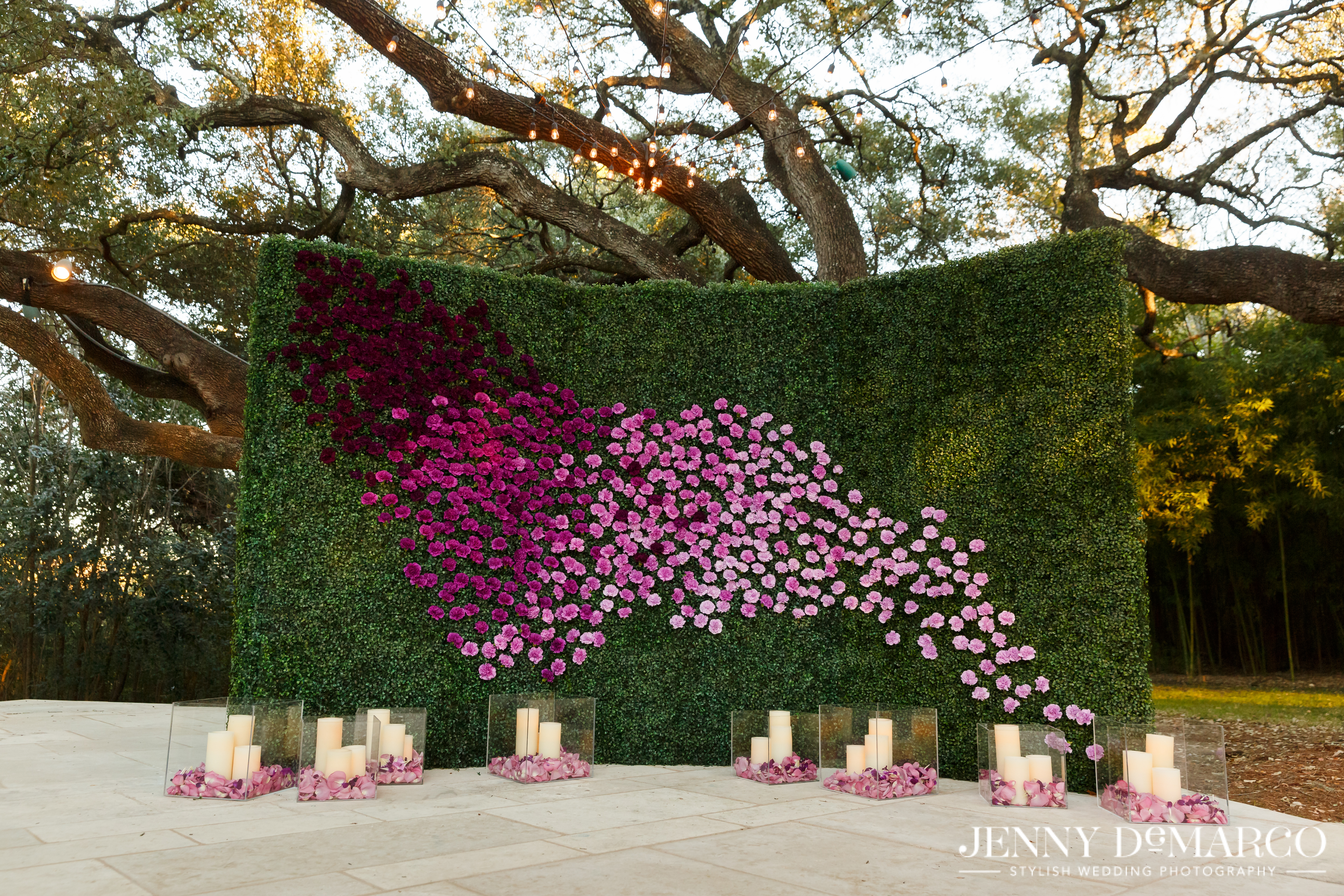 © Jenny DeMarco Photography www.jennydemarco.com