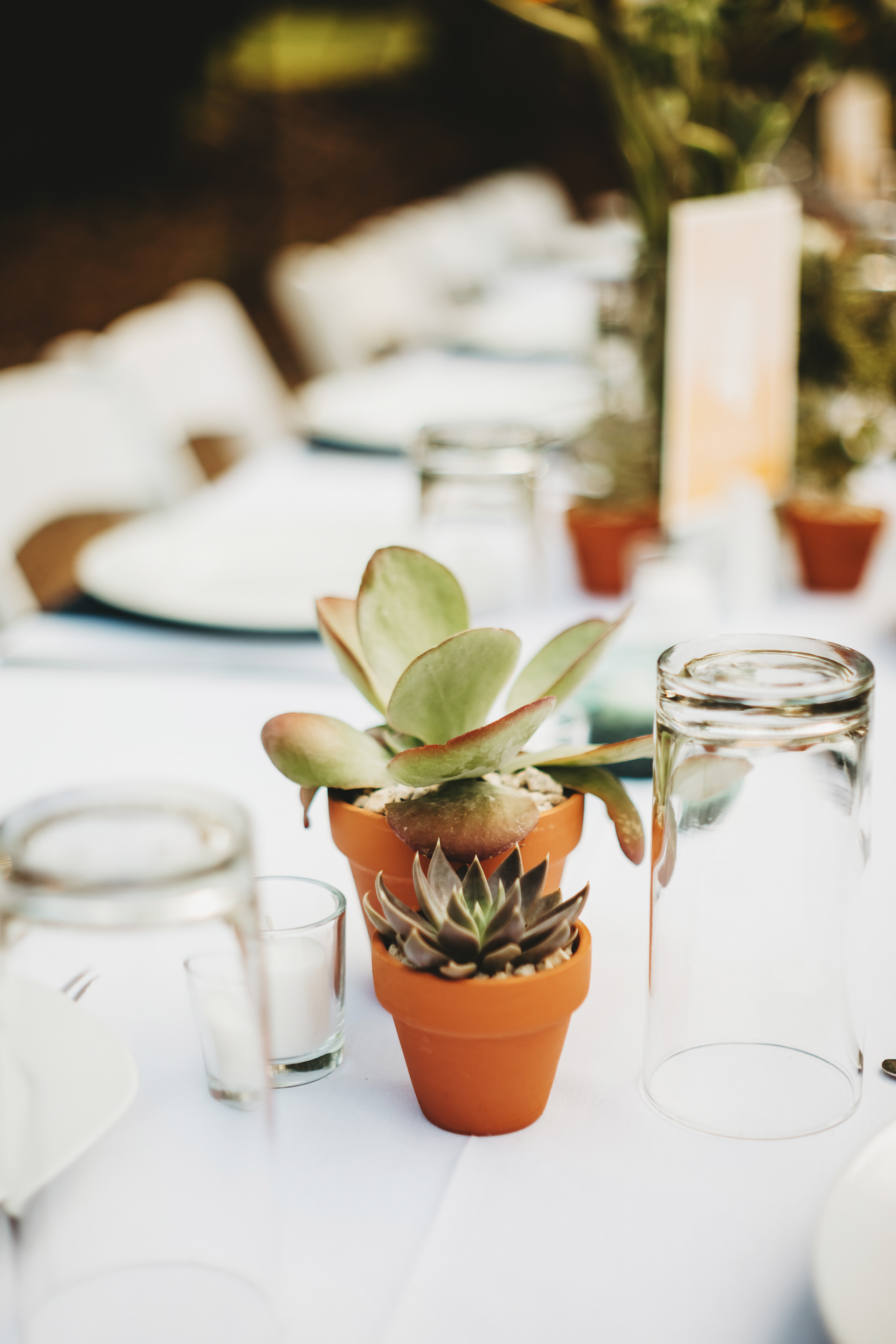 Two Pair Photography http://twopairphotography.com/