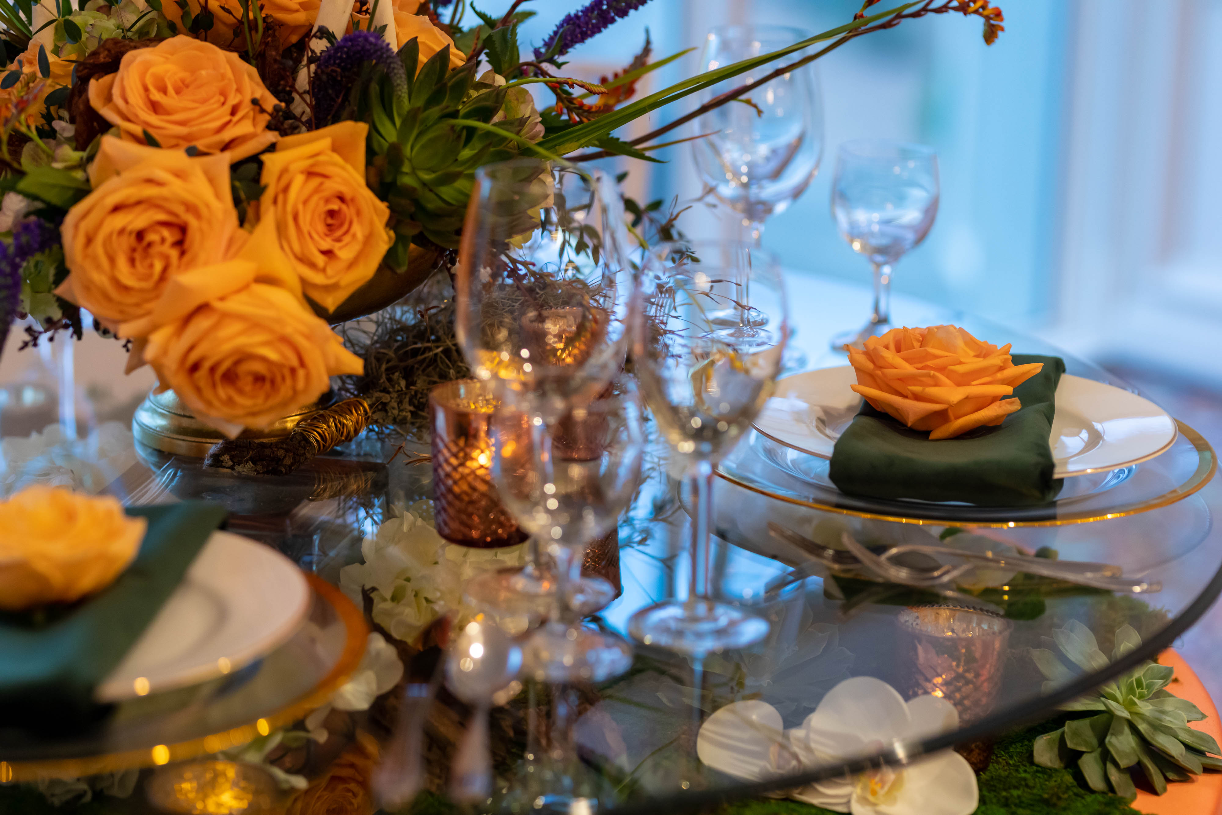 Premiere-Westwood_Feb2019-50