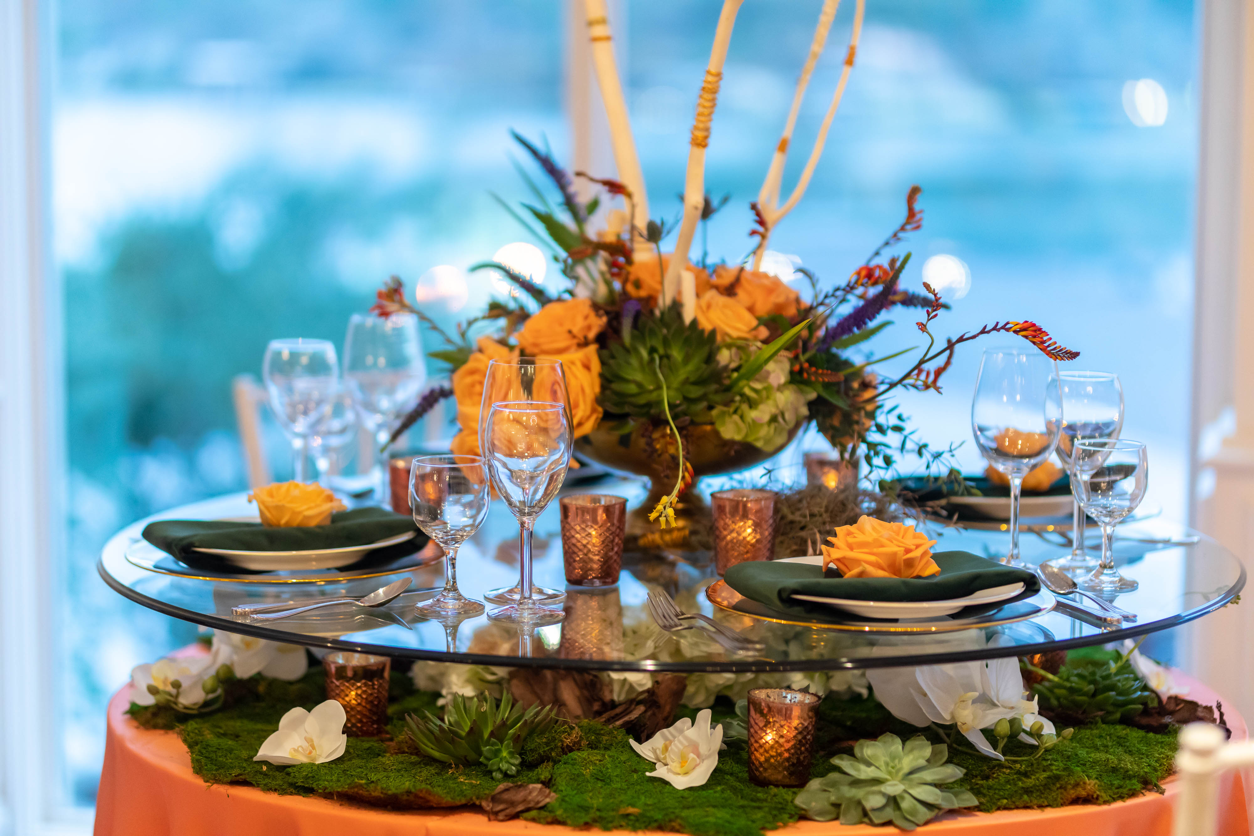 Premiere-Westwood_Feb2019-54