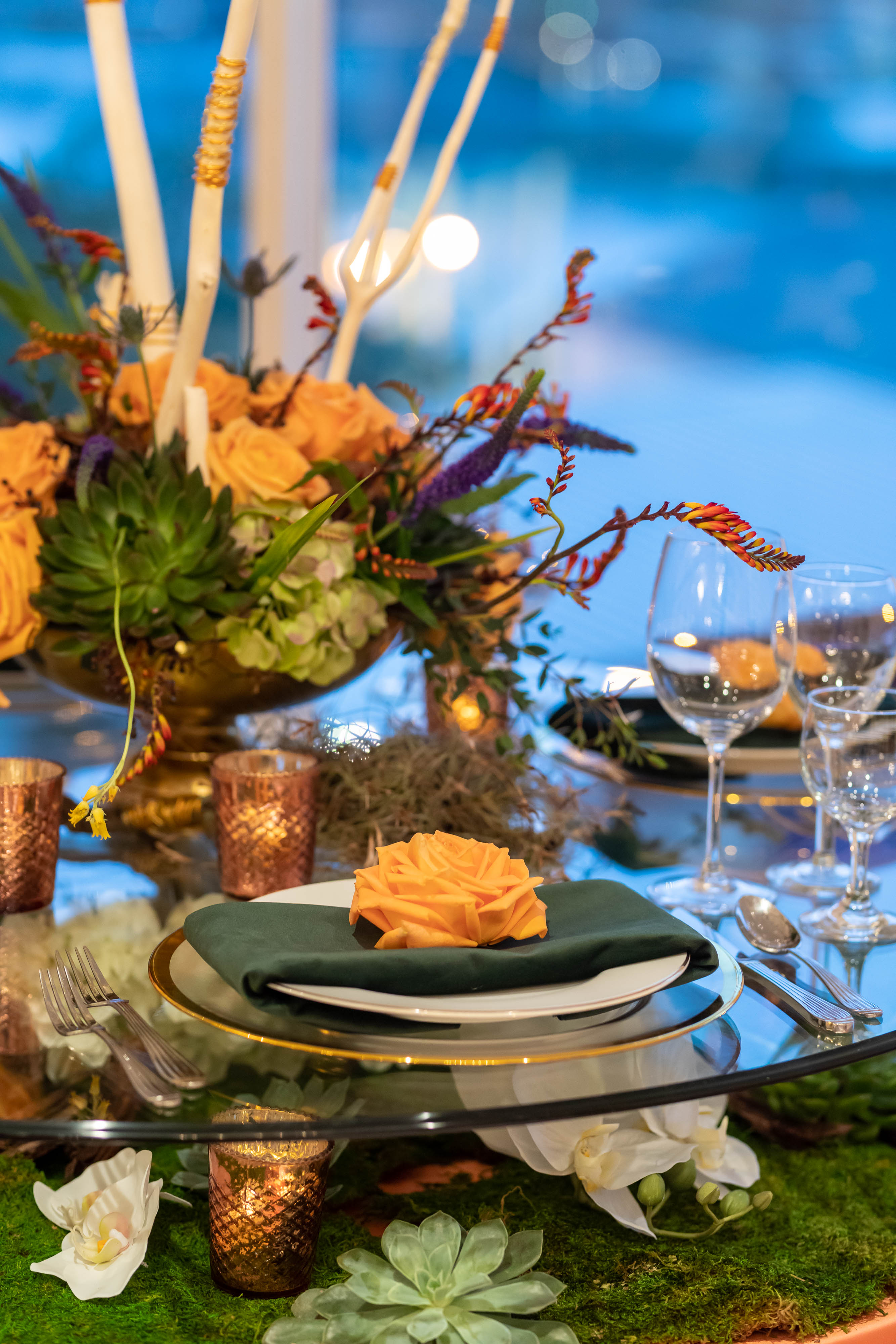 Premiere-Westwood_Feb2019-75